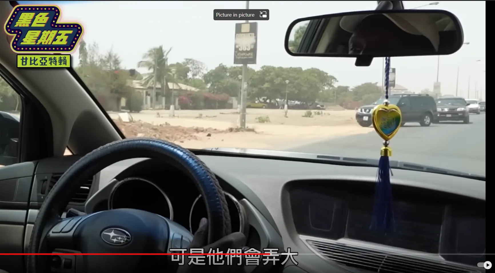 挖洗黑龍影片
